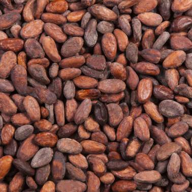 Feves de cacao GRAND CRU du PEROU INTENSE