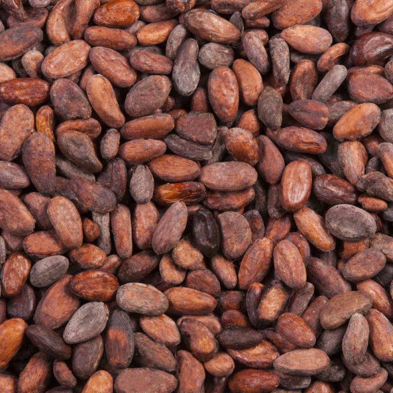 Fèves de cacao torréfiées concassées - Les Trésors du Vietnam